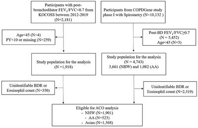 Racial Differences in Prevalence and Clinical Characteristics of Asthma–Chronic Obstructive Pulmonary Disease Overlap